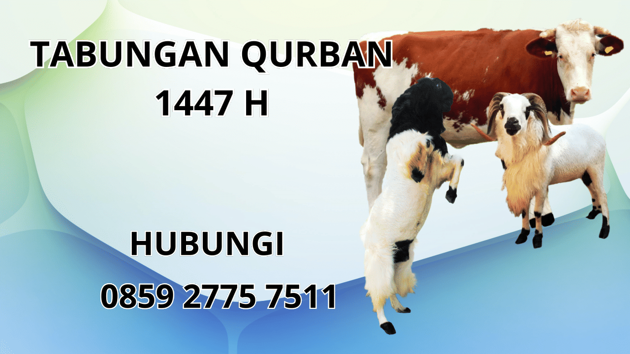 0859 2775 7511 Jasa Tabungan Qurban Di Aceh Singkil