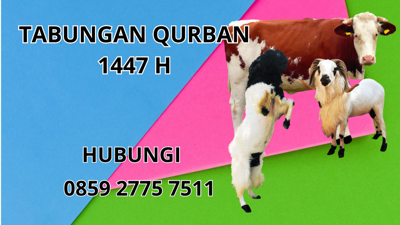 0859 2775 7511 Jasa Tabungan Qurban Di Badung