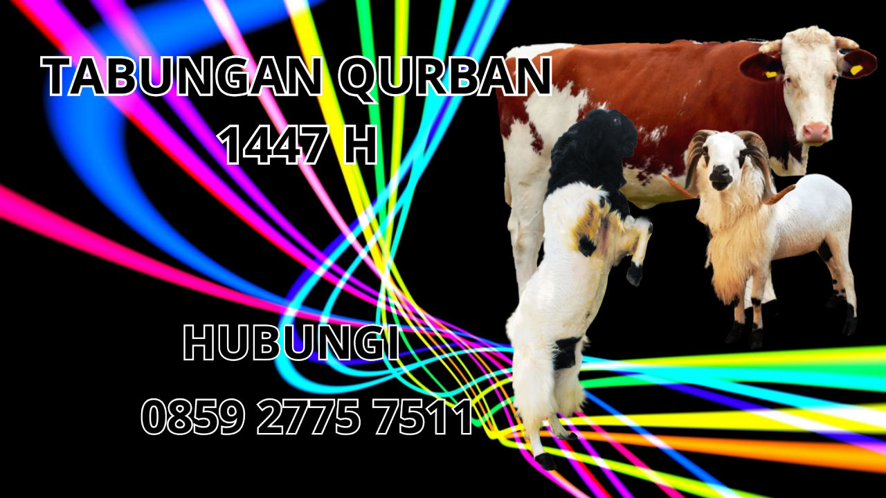 0859 2775 7511 Jasa Tabungan Qurban Di Lhokseumawe