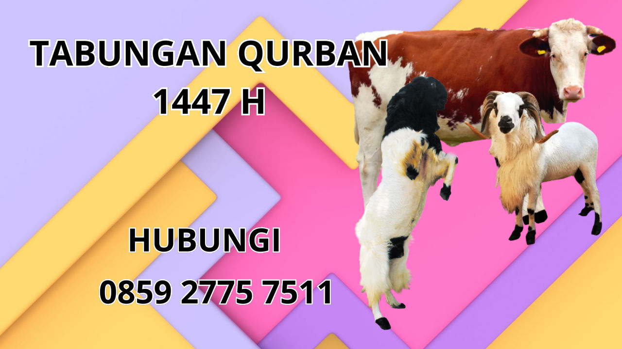 0859 2775 7511 Jasa Tabungan Qurban Di Timor Tengah Selatan 0859 2775 7511 Jasa Tabungan Qurban Di Timor Tengah Selatan