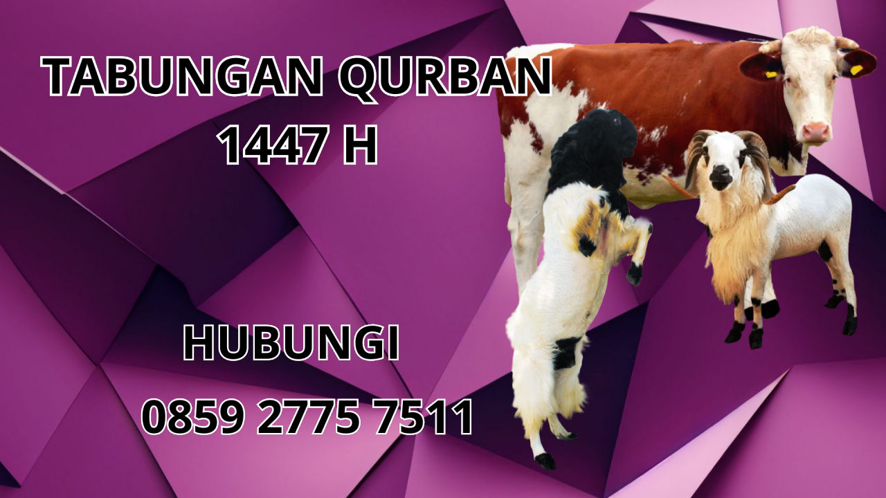 0859 2775 7511 Jasa Tabungan Qurban Di Aceh Tamiang