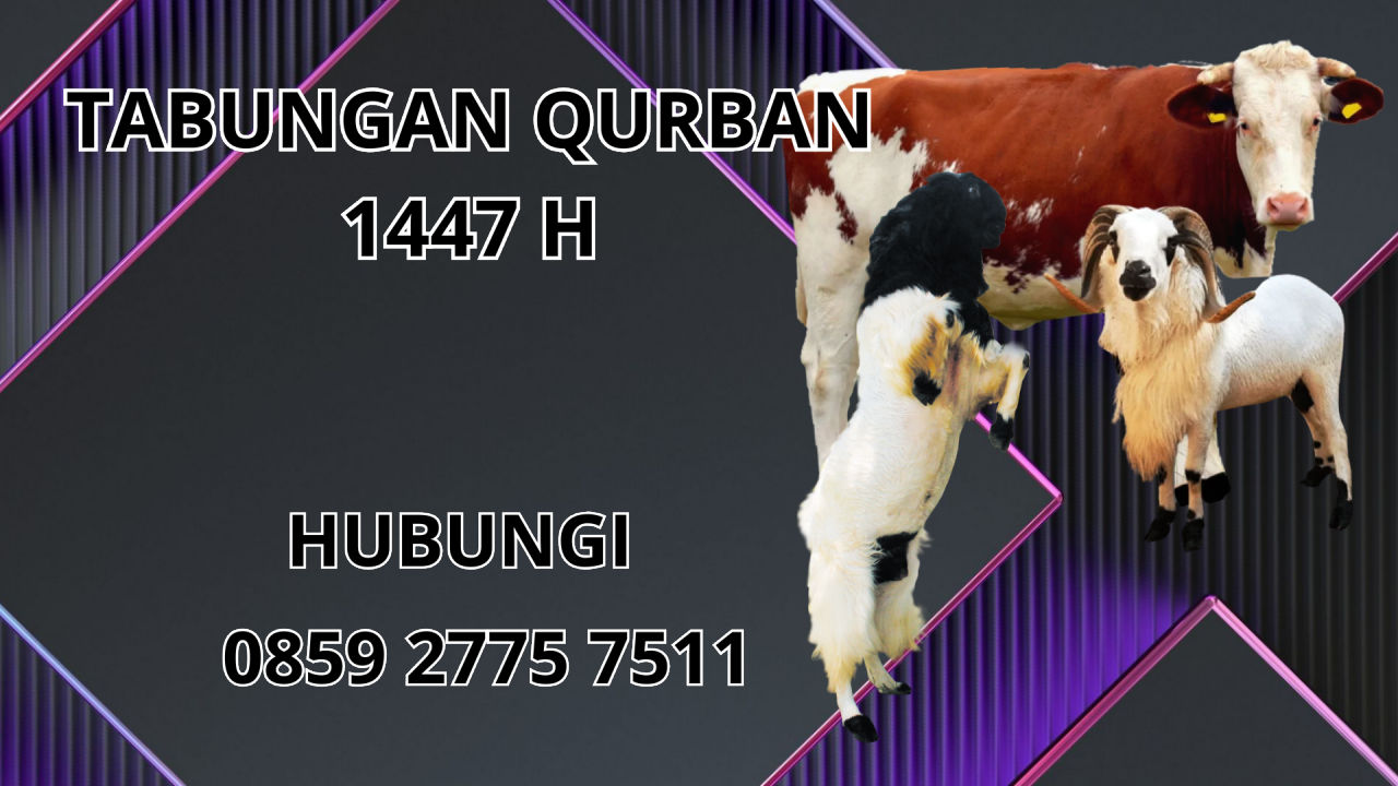 0859 2775 7511 Patungan Qurban Sapi Di Kendari 0859 2775 7511 Patungan Qurban Sapi Di Kendari