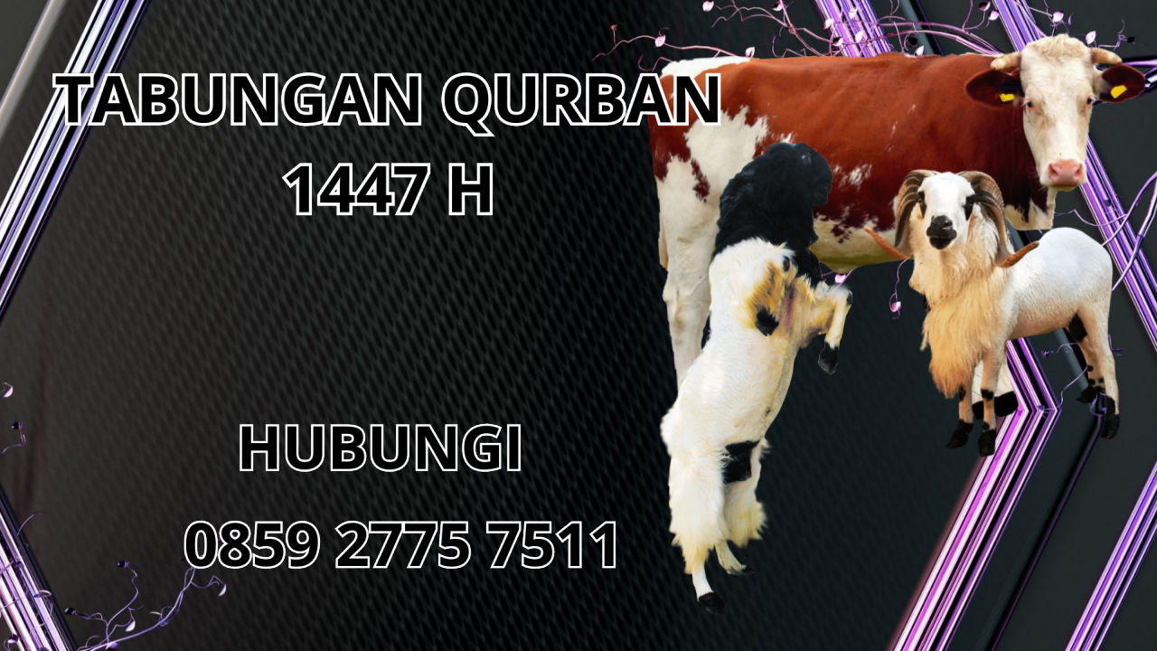 0859 2775 7511 Jasa Tabungan Qurban Di Bireuen