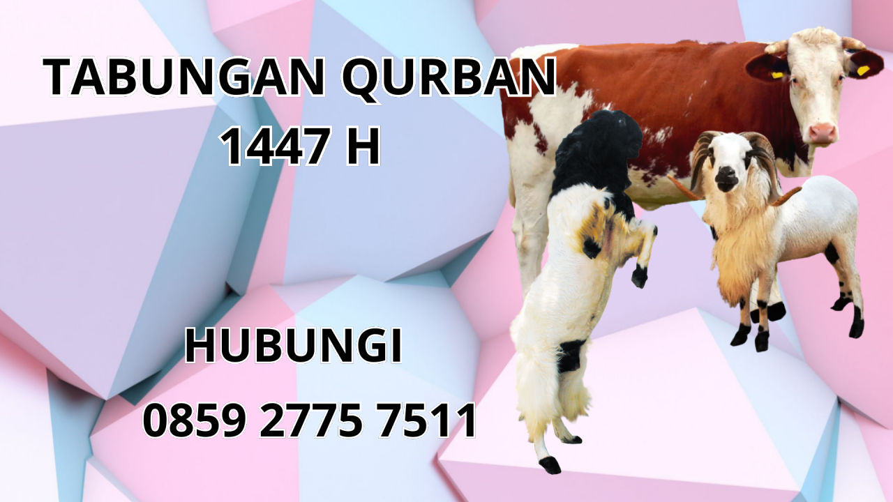 0859 2775 7511 Jasa Tabungan Qurban Di Denpasar