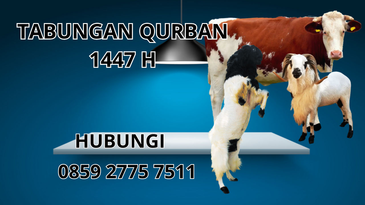 0859 2775 7511 Patungan Qurban Sapi Di Tomohon 0859 2775 7511 Patungan Qurban Sapi Di Tomohon
