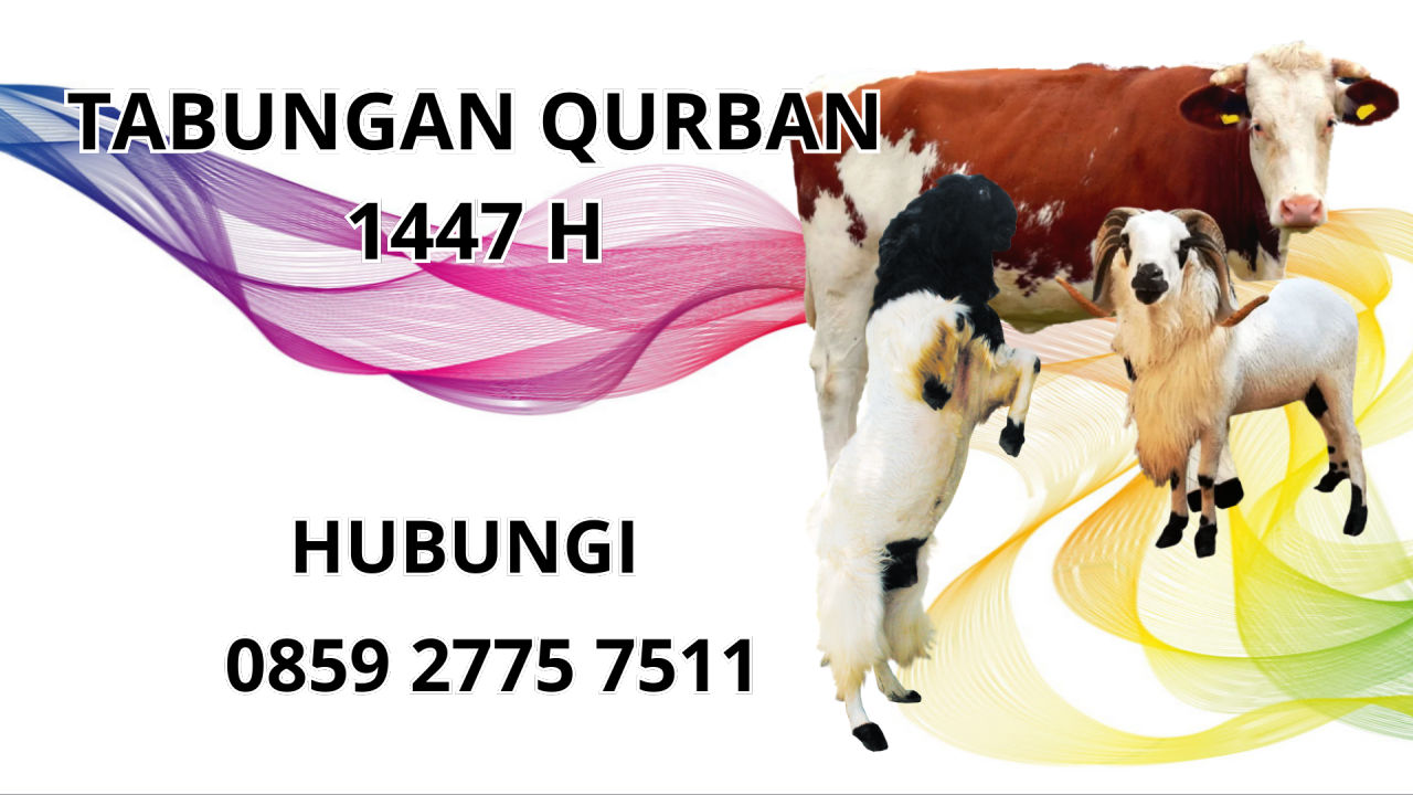 0859 2775 7511 Patungan Qurban Sapi Di Muna Barat 0859 2775 7511 Patungan Qurban Sapi Di Muna Barat