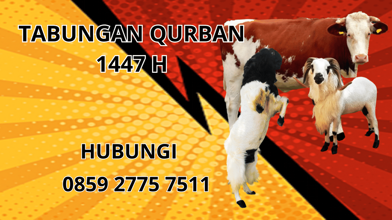 0859 2775 7511 Patungan Qurban Di Simalungun