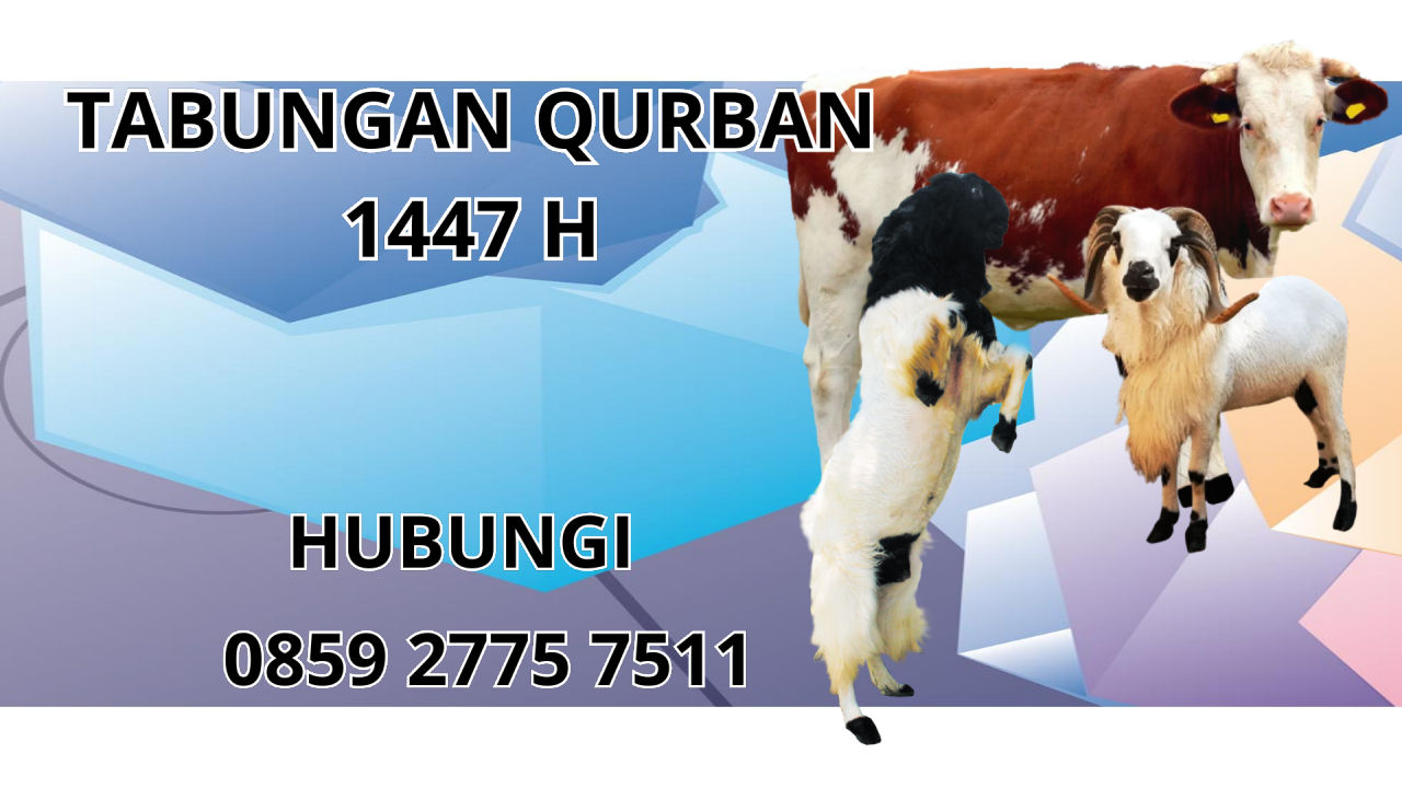 0859 2775 7511 Patungan Qurban Sapi Di Muna 0859 2775 7511 Patungan Qurban Sapi Di Muna