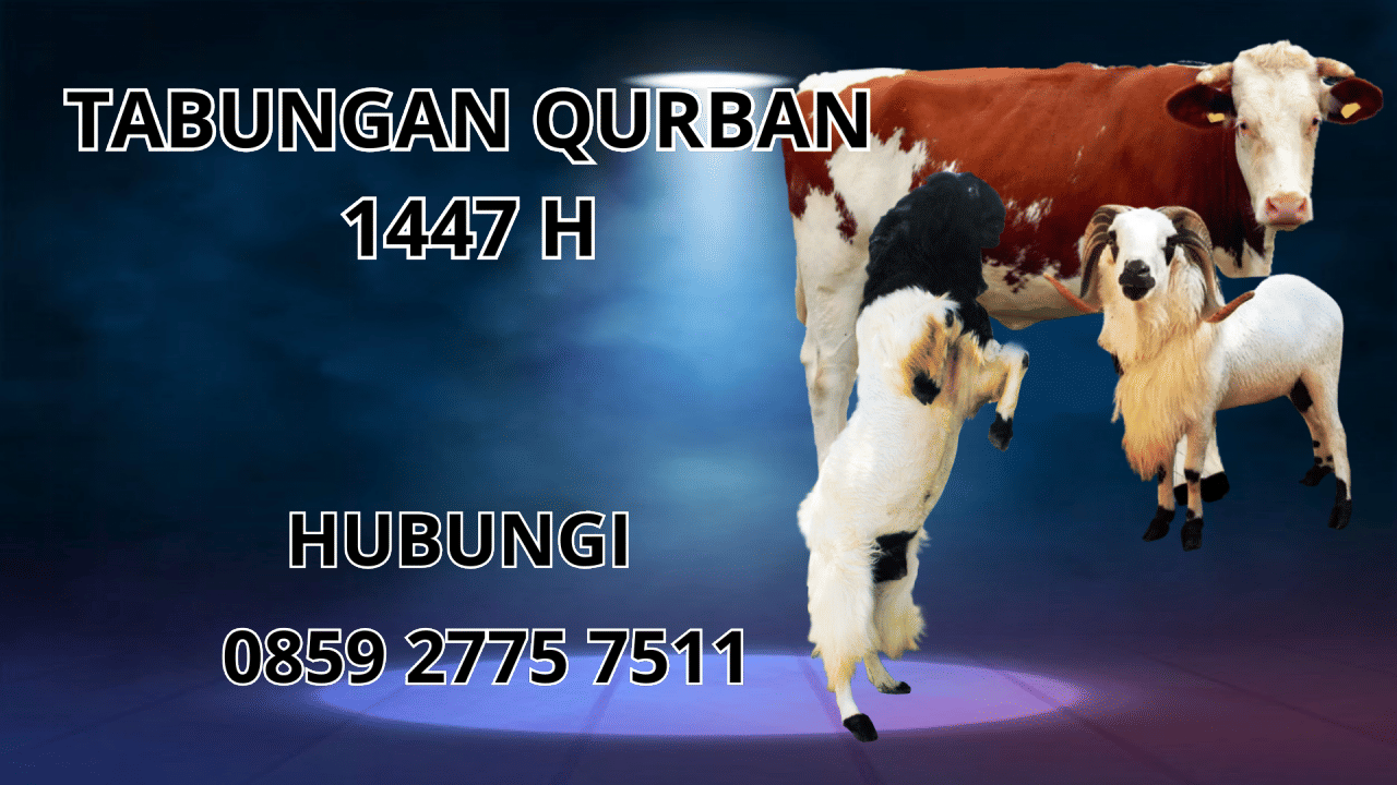 0859 2775 7511 Patungan Qurban Sapi Di Kepulauan Mentawai 0859 2775 7511 Patungan Qurban Sapi Di Kepulauan Mentawai