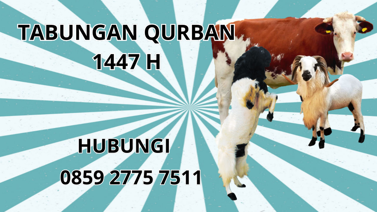 0859 2775 7511 Patungan Qurban Sapi Di Kolaka Utara