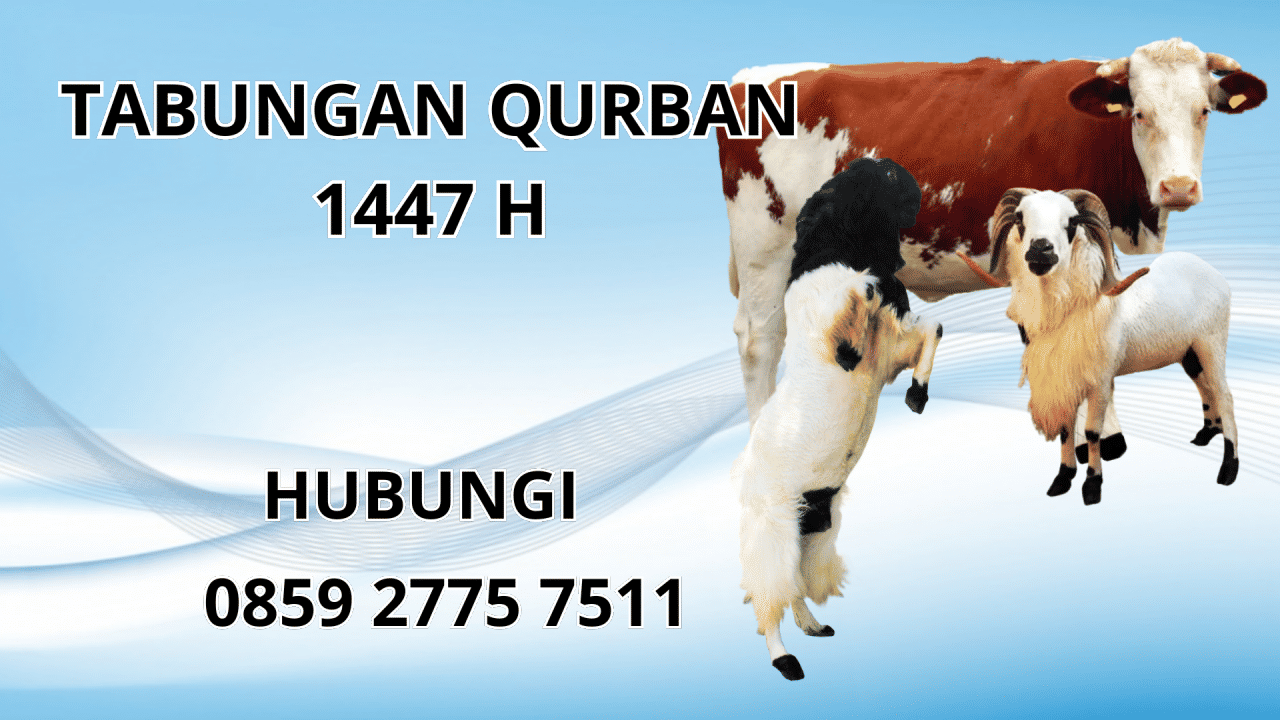 0859 2775 7511 Patungan Qurban Sapi Di Bolaang Mongondow Timur 0859 2775 7511 Patungan Qurban Sapi Di Bolaang Mongondow Timur