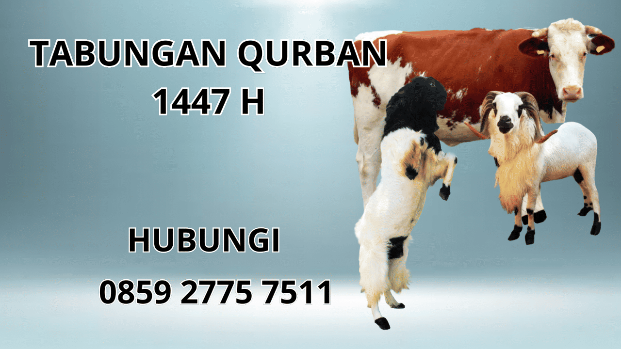 0859 2775 7511 Jasa Tabungan Qurban Di Bangli