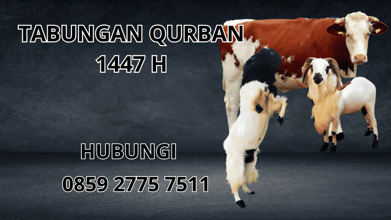 0859 2775 7511 Patungan Qurban Sapi Di Wakatobi 0859 2775 7511 Patungan Qurban Sapi Di Wakatobi