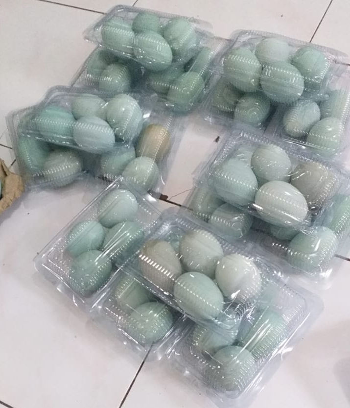 Eco Telur Asin