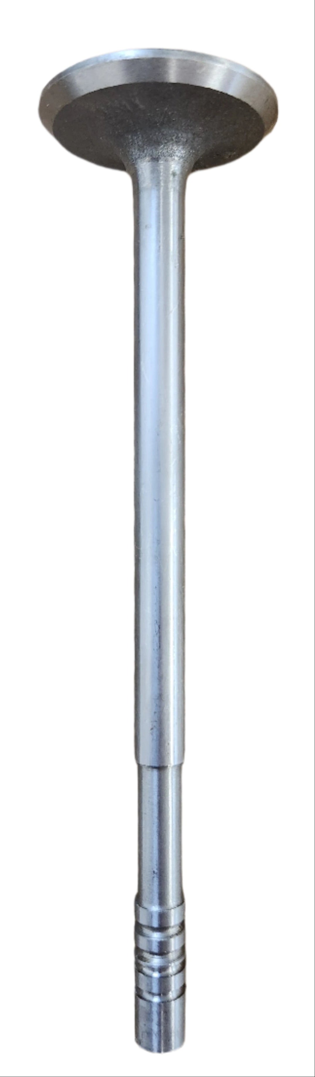 Intake Valve - 8 Cylinder - Thumbnail 1