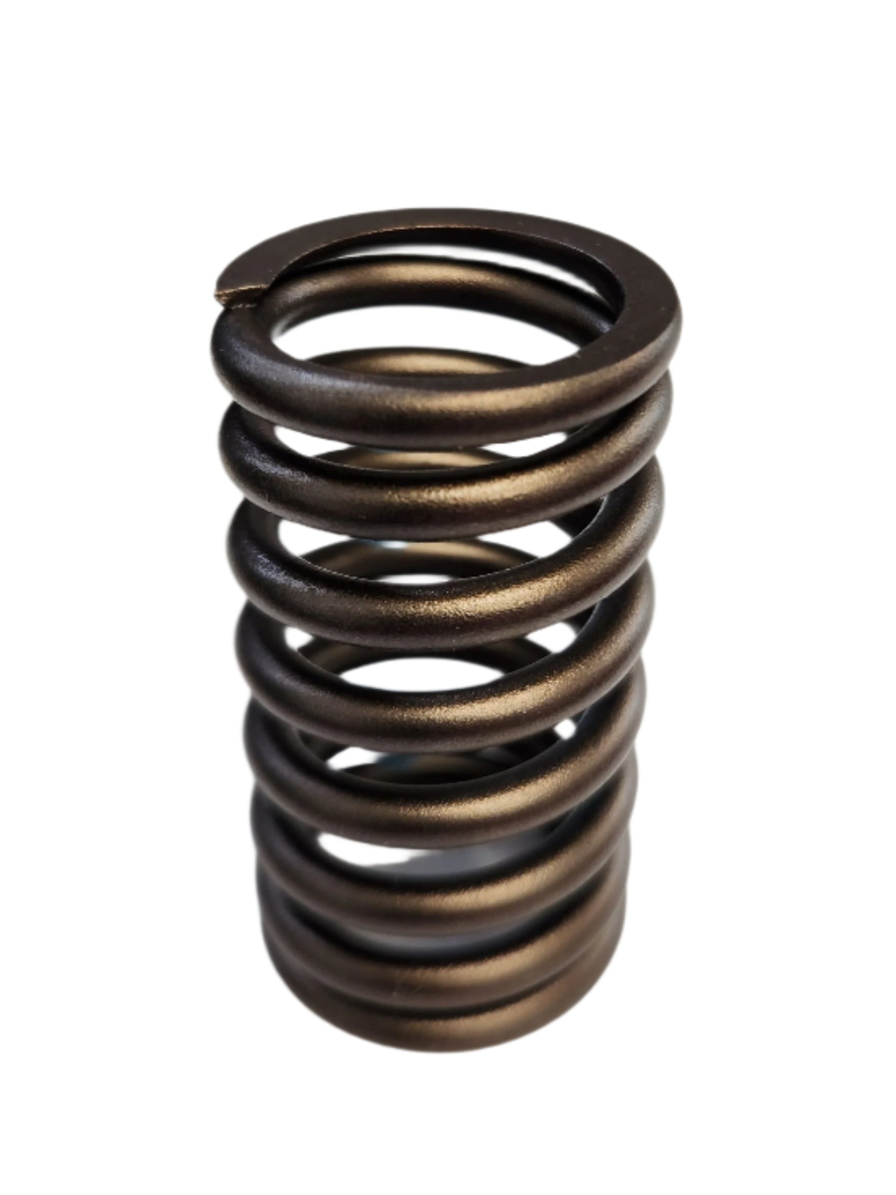 Valve Spring - Thumbnail 2