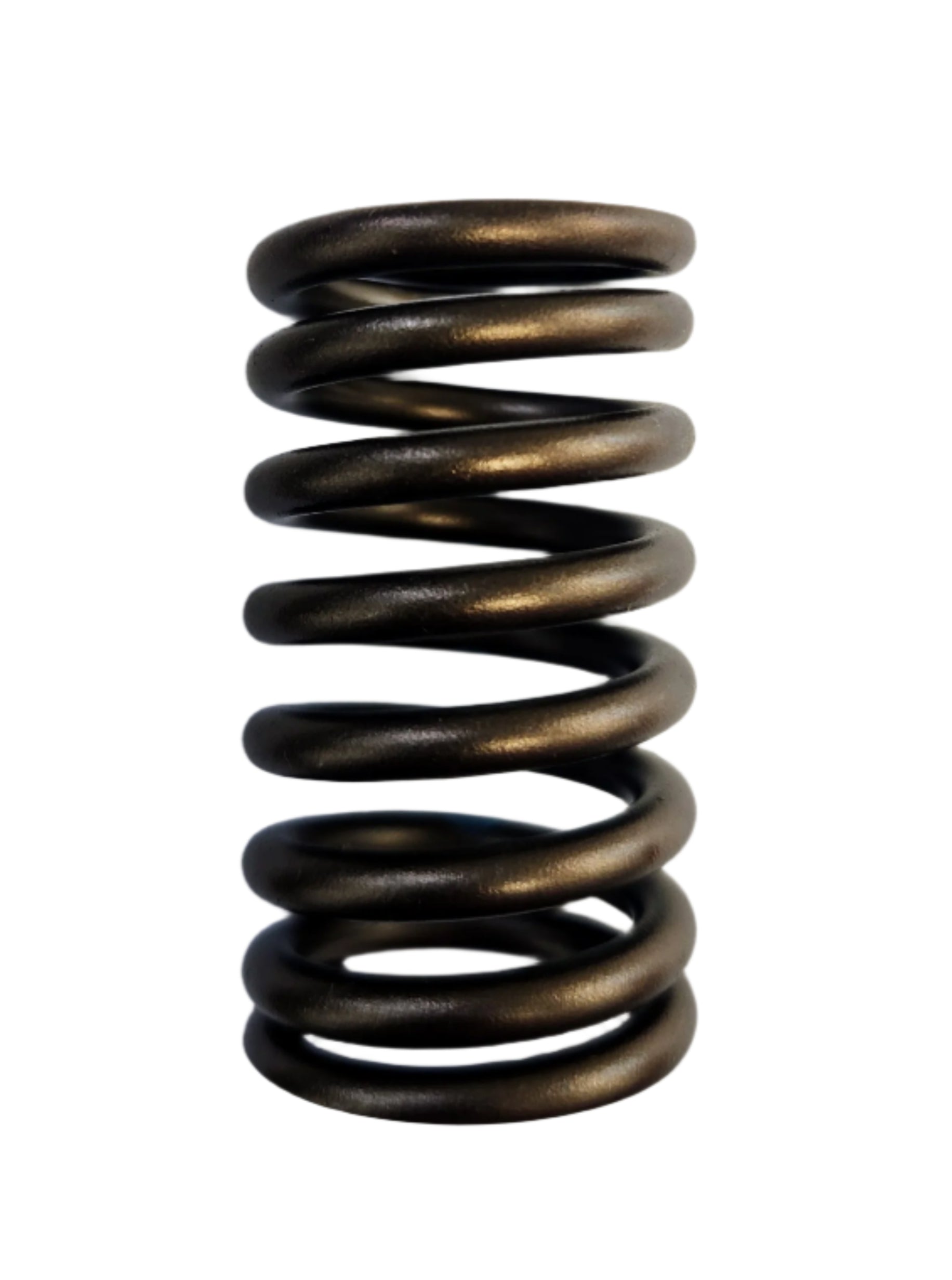 Valve Spring - Thumbnail 1