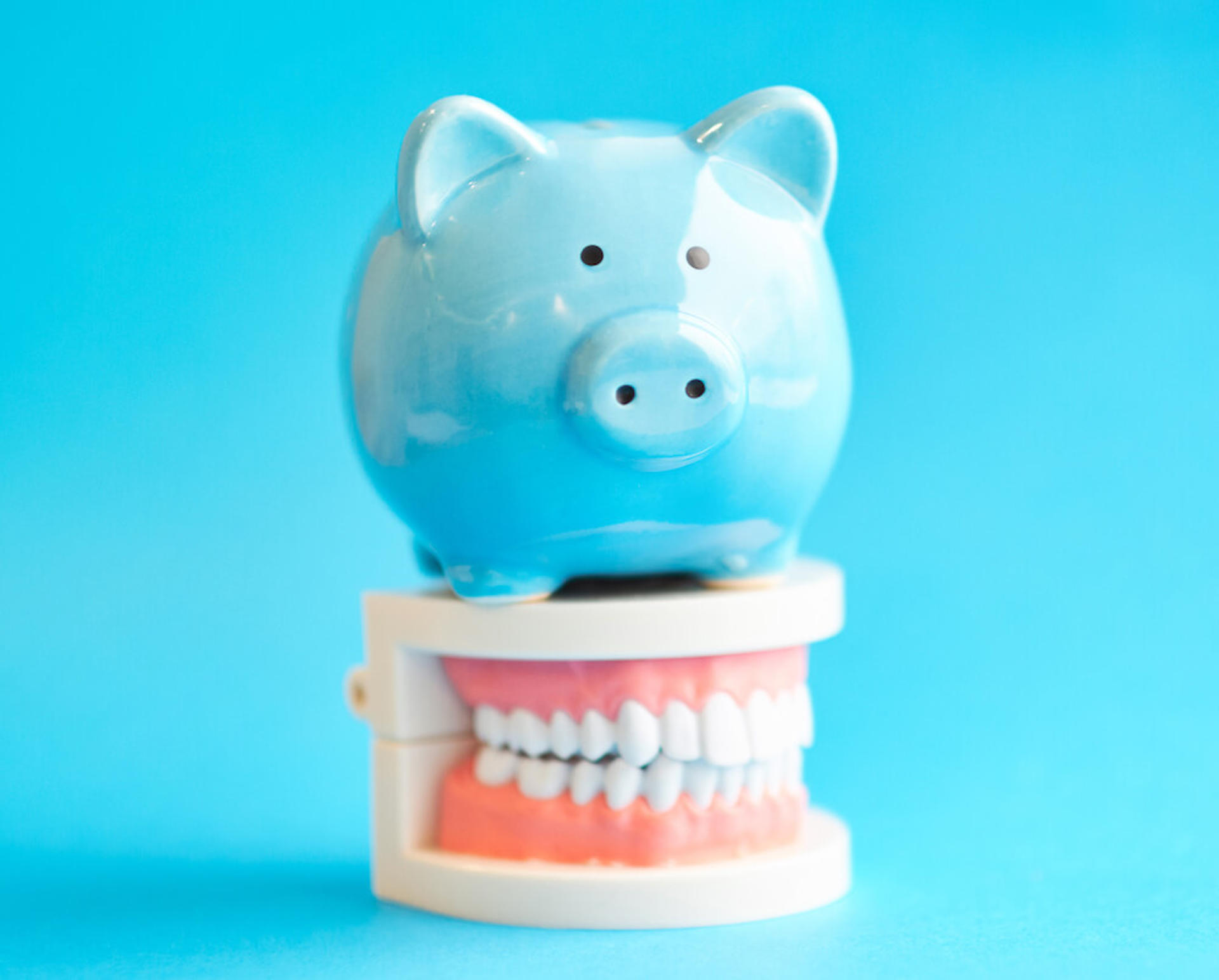 piggy bank on top of teeth model