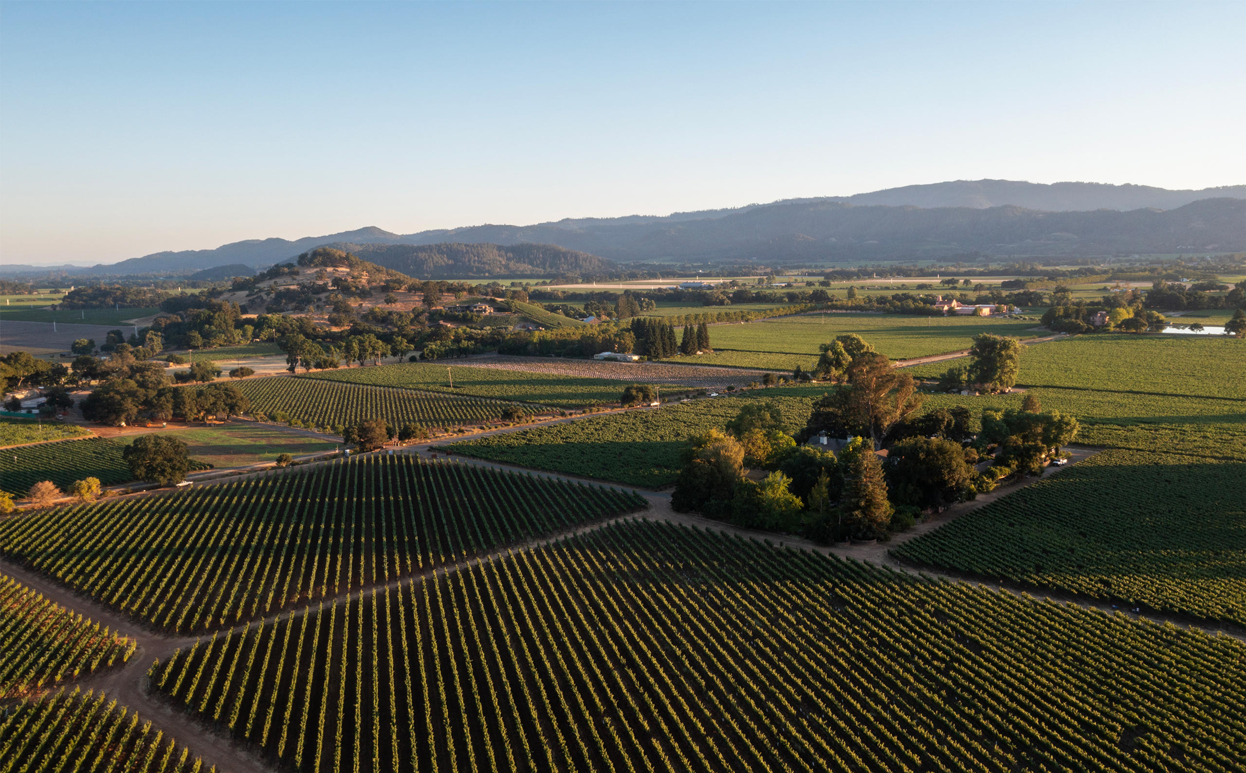 Aerial view of the Plumpjack Winery Estate.