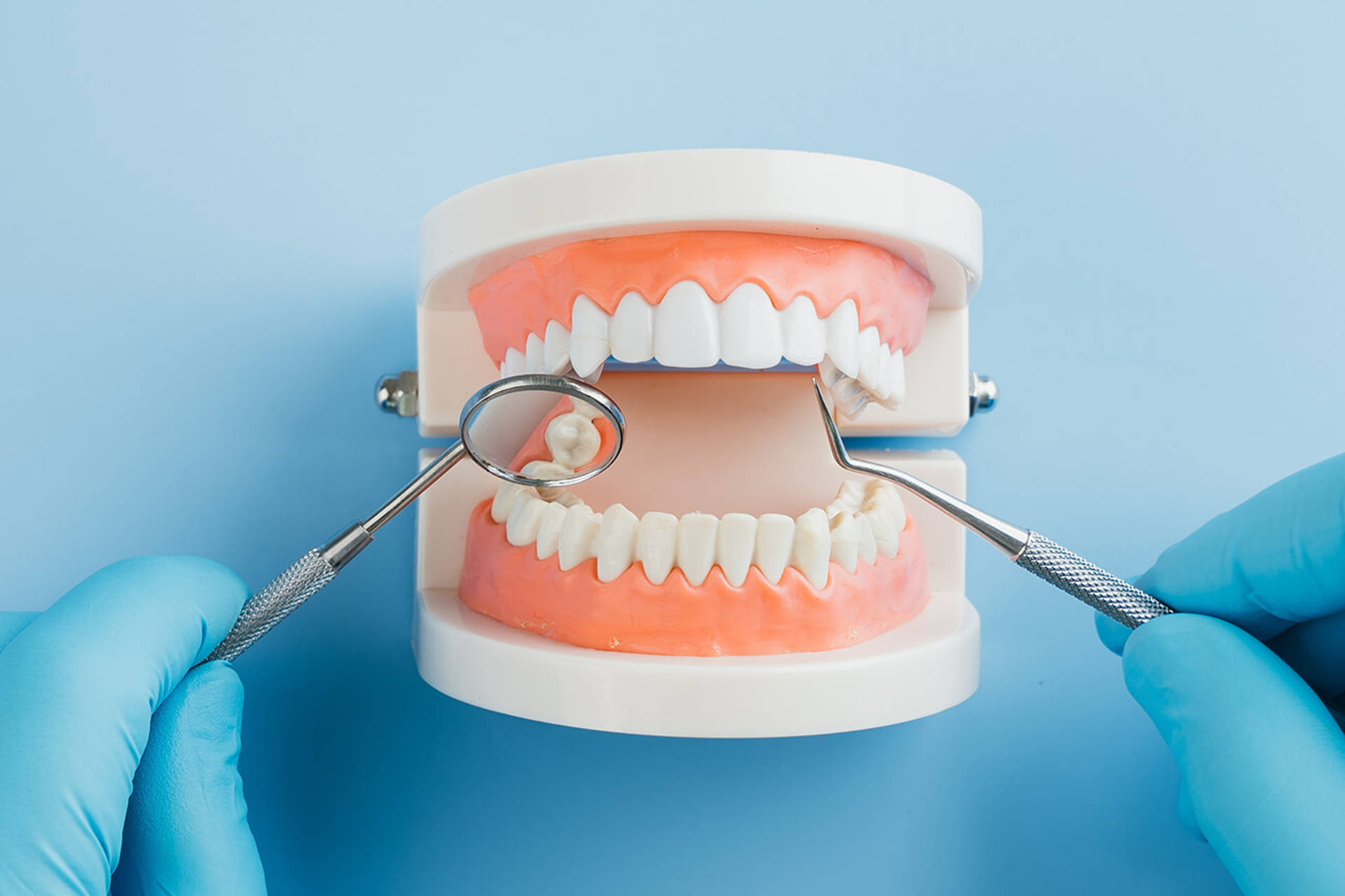 A gloved dentist hand carefully checks a tooth model with a probe and mirror.