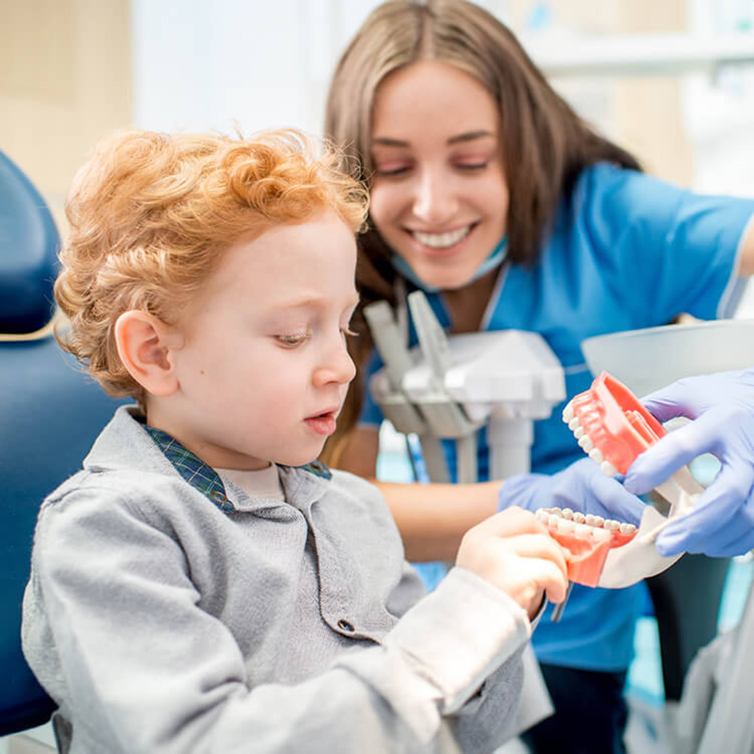 Female dentist showing the young boy artificial jaw at the dental office