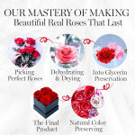 Preserved Rose, Mothers Day Roses in a Box, Forever Preserved Roses Gift for Mom, Birthday Gifts for Mom/Girlfriend/Wife/Grandma