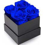 Preserved Rose, Mothers Day Roses in a Box, Forever Preserved Roses Gift for Mom, Birthday Gifts for Mom/Girlfriend/Wife/Grandma