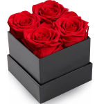 Preserved Rose, Mothers Day Roses in a Box, Forever Preserved Roses Gift for Mom, Birthday Gifts for Mom/Girlfriend/Wife/Grandma