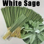 10/50/172 Supports Long-Lasting White Sage Incense – Natural Bamboo Incense Sticks, Elegant Green, Suitable for Home, Yoga, Meditation, Holiday Decoration – Ideal for Halloween, Christmas, Thanksgiving, Hanukkah, Easter – Essential for Spiritual Purification and Yoga Studios, Smooth Design