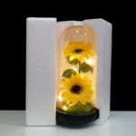 Mothers Day Rose Gifts for Mom, Galaxy Glass Rose Forever Eternal Crystal Flower Light Up Rose in Glass Dome with Butterfly Moth