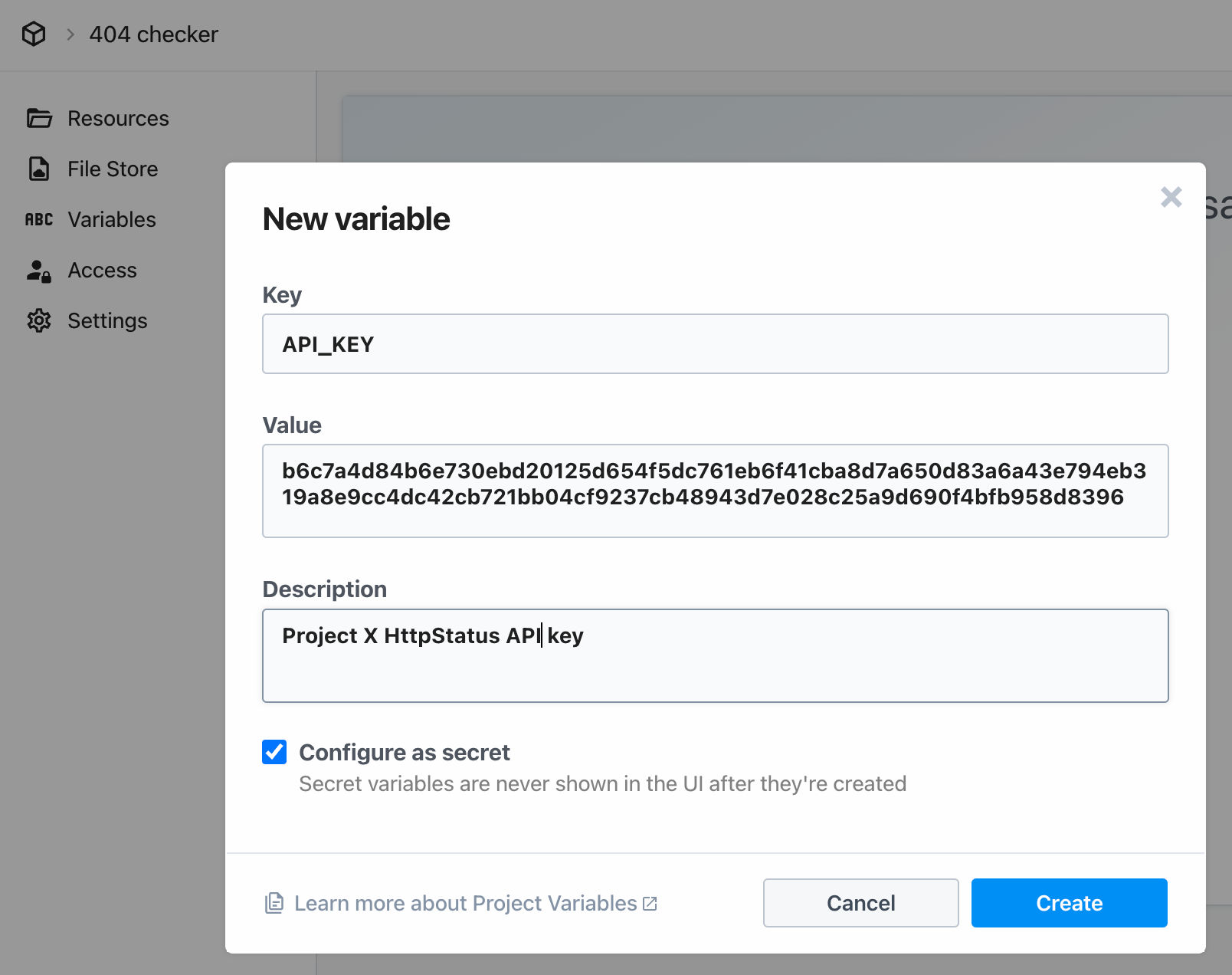 API key as environment variable