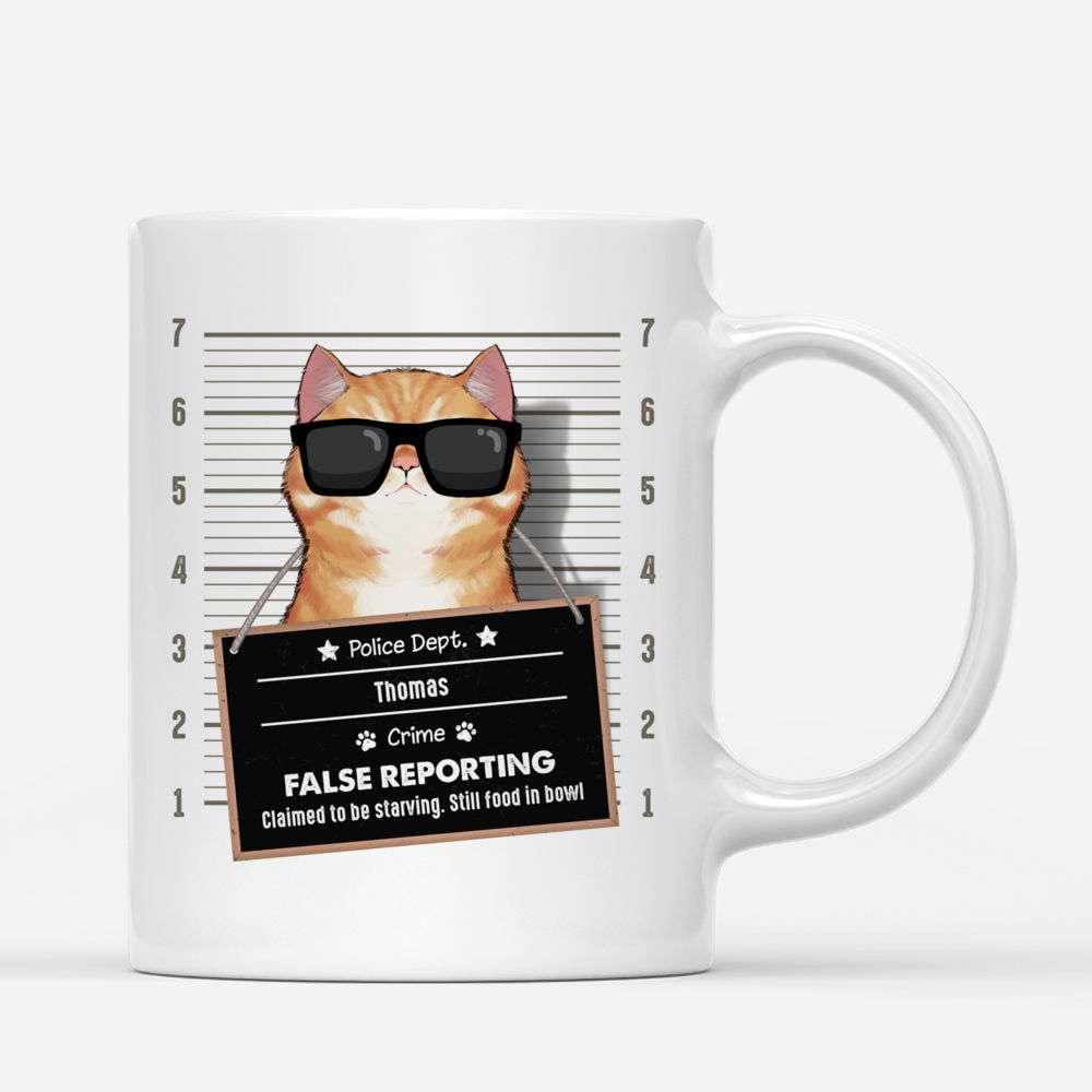 Personalized Mug - Funny Cat - False reporting. Claimed to be starving. Still food in bowl_1