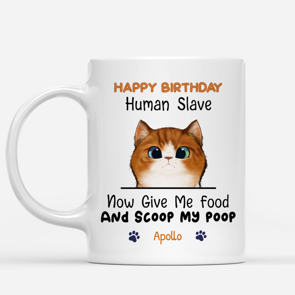 Personalized Mug - Cat Celebration - Happy Birthday - Now give me food and scoop my poo_1