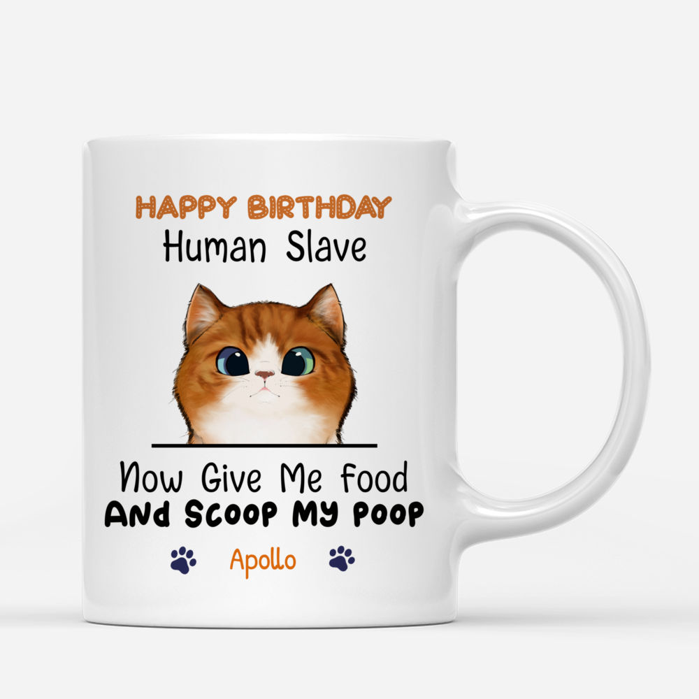 Personalized Mug - Cat Celebration - Happy Birthday - Now give me food and scoop my poo_2