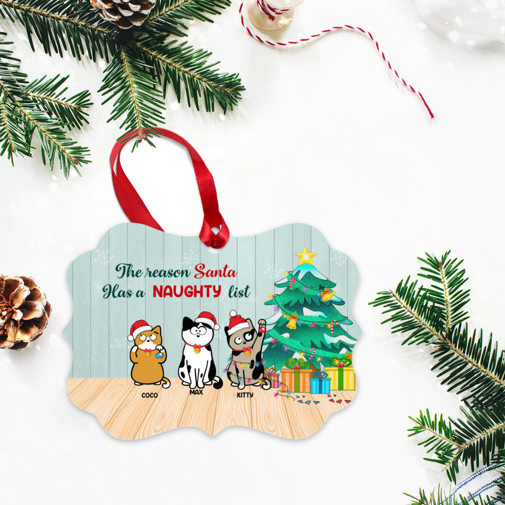 Personalized Ornament - Xmas Ornament - Naughty Cat - The reason Santa has a naughty list_2