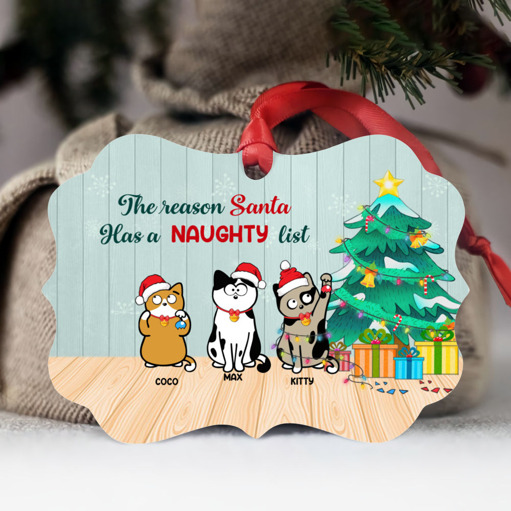 Xmas Ornament - Naughty Cat - The reason Santa has a naughty list - Personalized Ornament