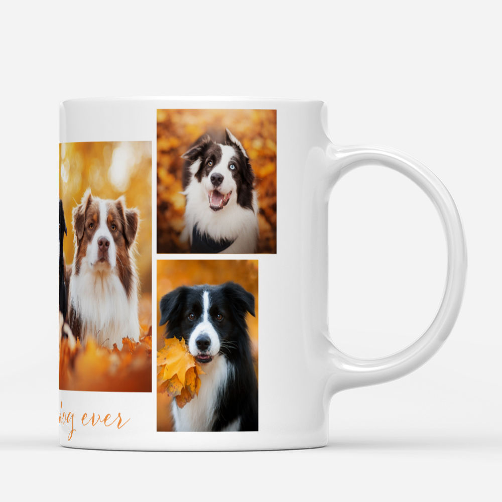 Photo Mug - Photo Mug - Gallery of Six Pets - Customized Your Photo Mug, Custom Photo Gifts, Christmas Gifts_1