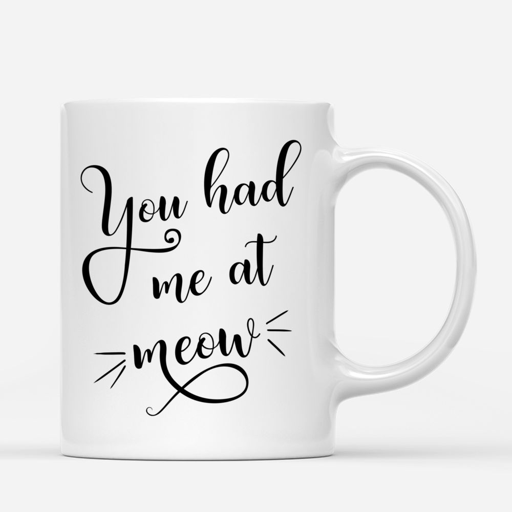 Personalized Mug - Girl and Cats - You Had Me At Meow v2_2
