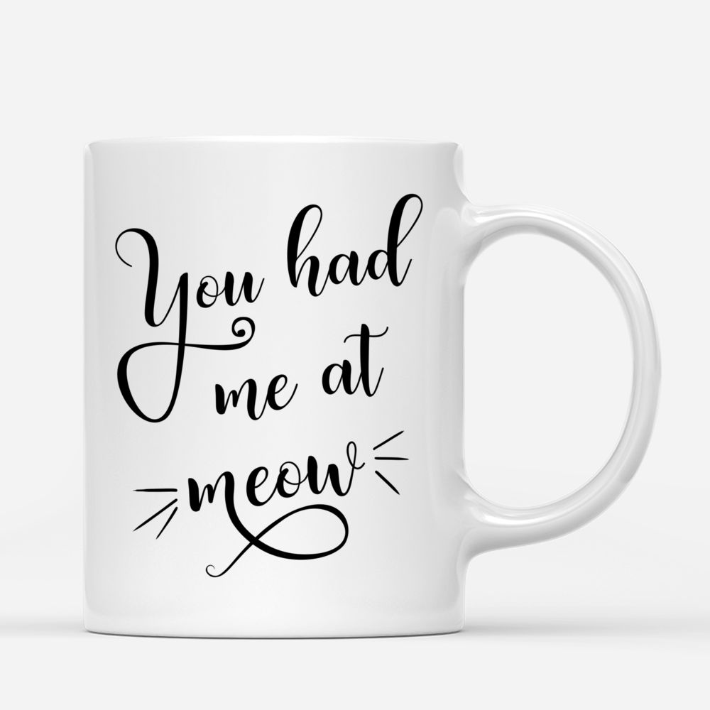 Personalized Christmas Mug - You Had Me at Meow (Girl and Cats)_2