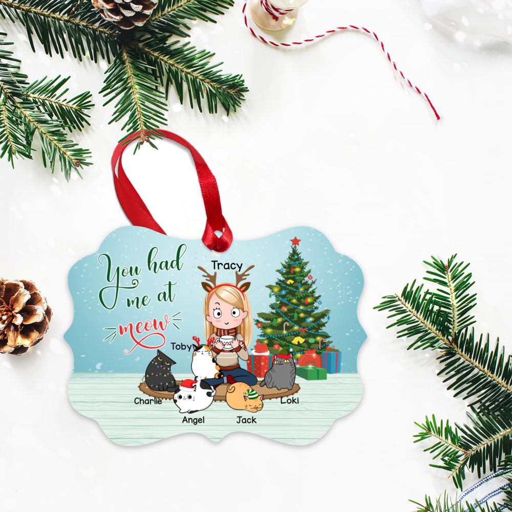 Personalized Ornament - Cat Xmas Ornament - You had me at Meow_2