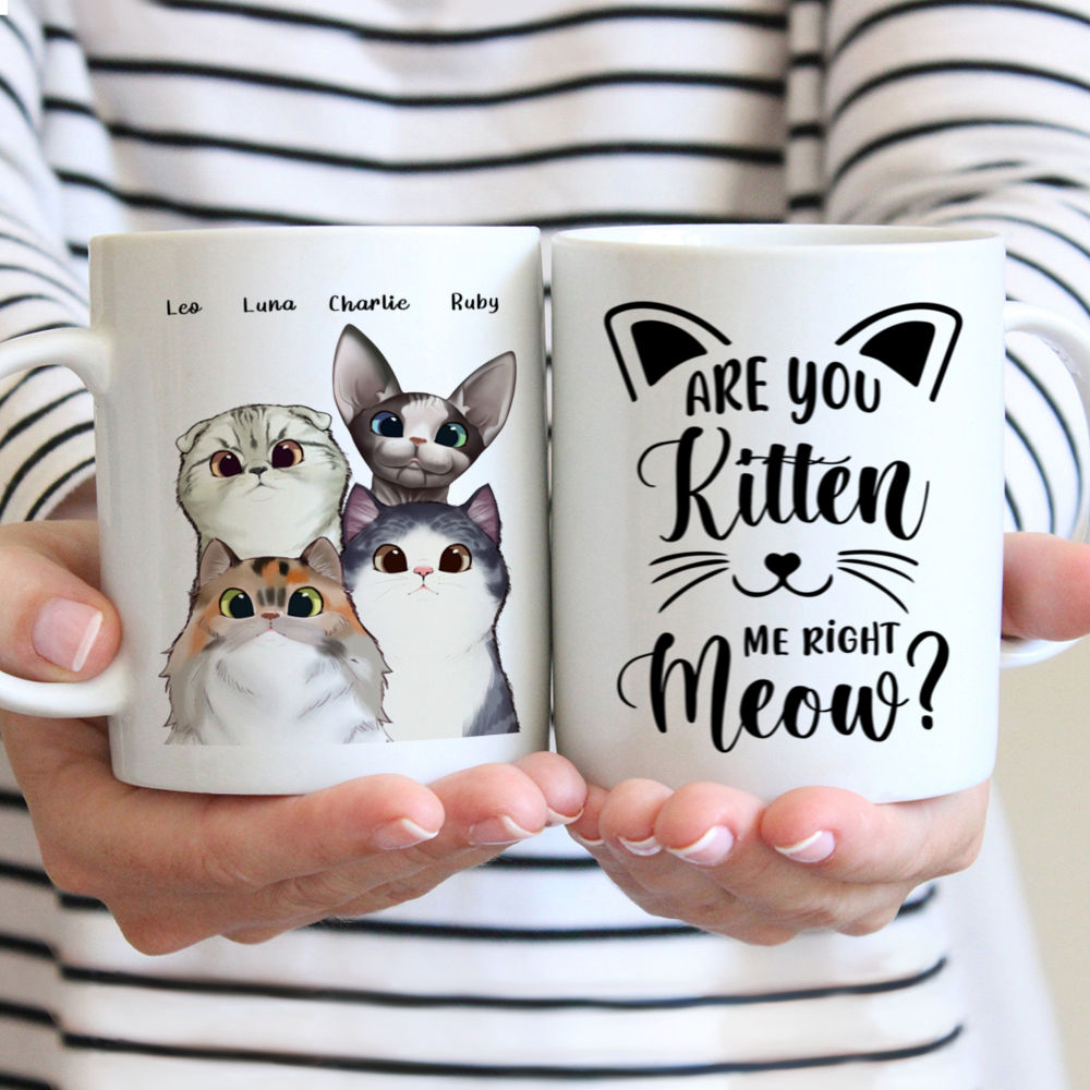 kittens in a mug