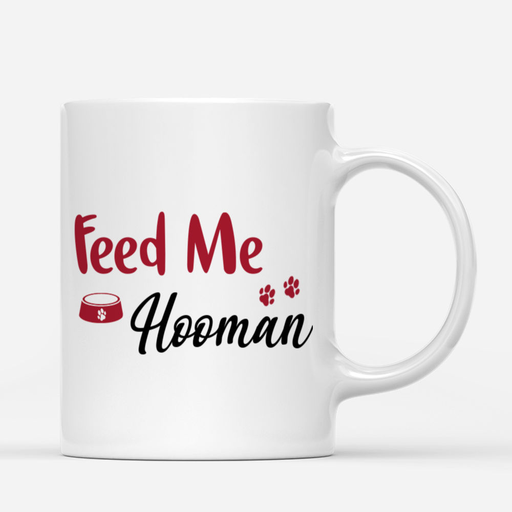 Personalized Mug - Cat Family - Feed me Hooman_2