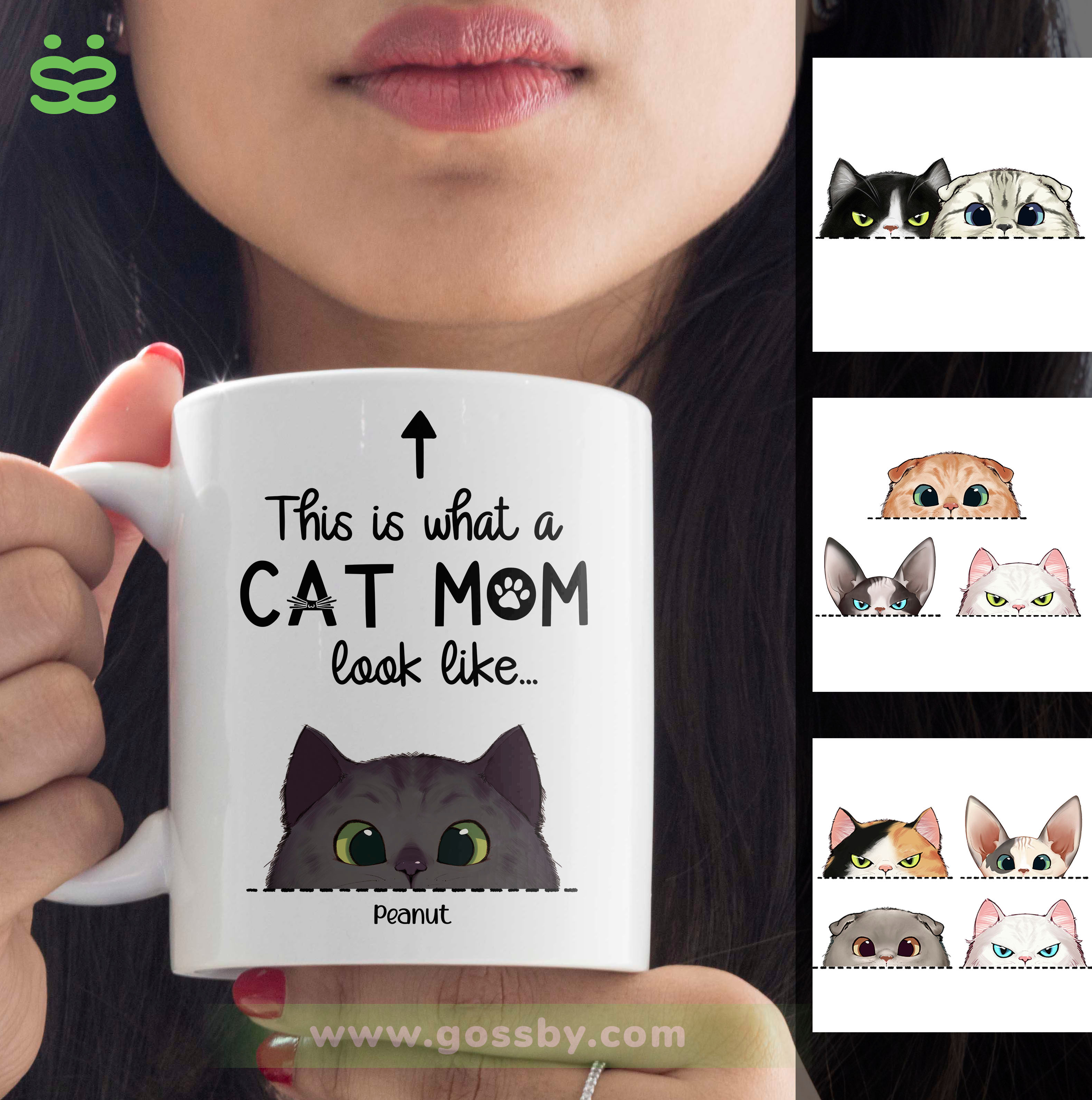 Funny New Mom Mug - The Cat is Jealous of Baby