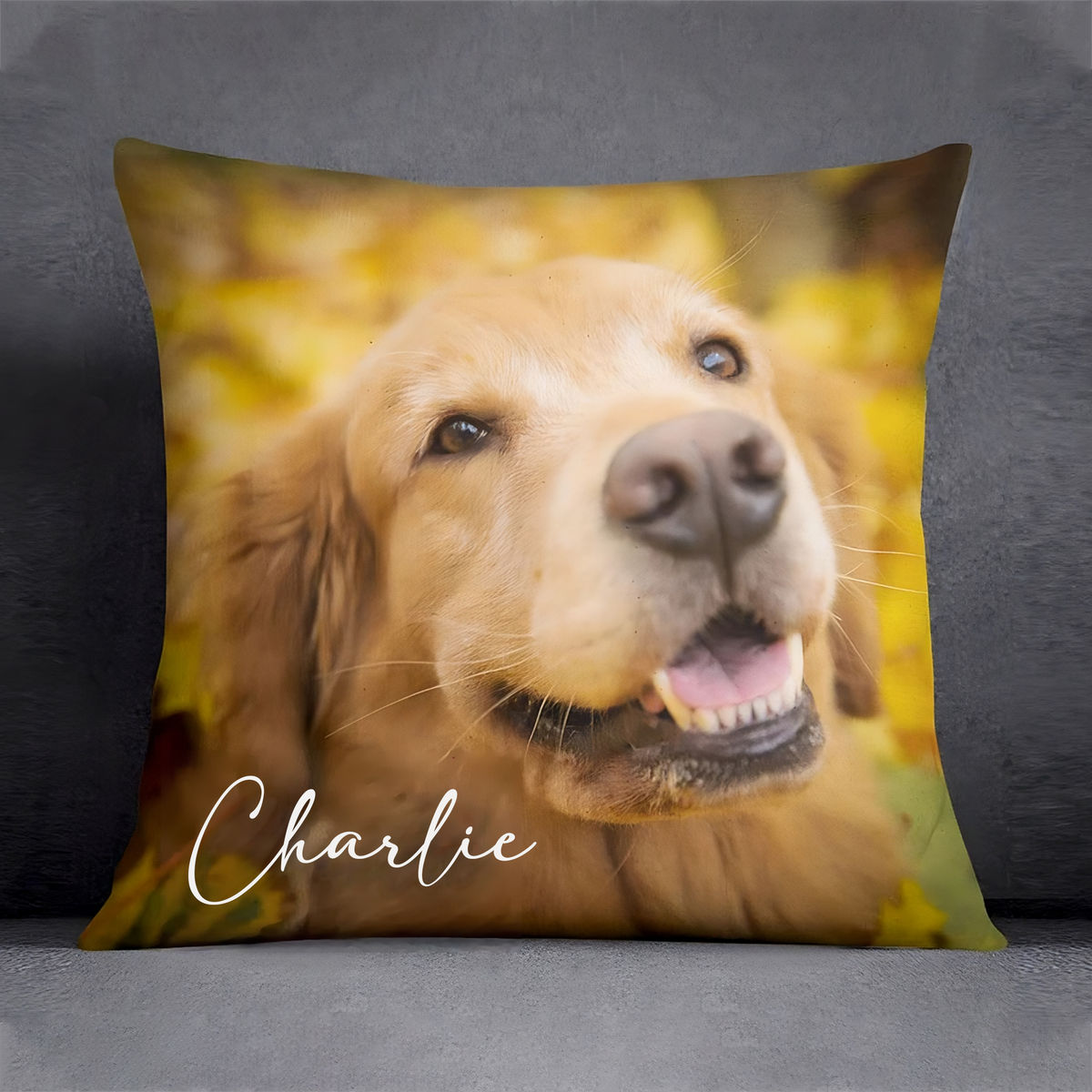 Mother's Day New Listing 2023 - Personalize Pillow For Dog Mom Cat Mom