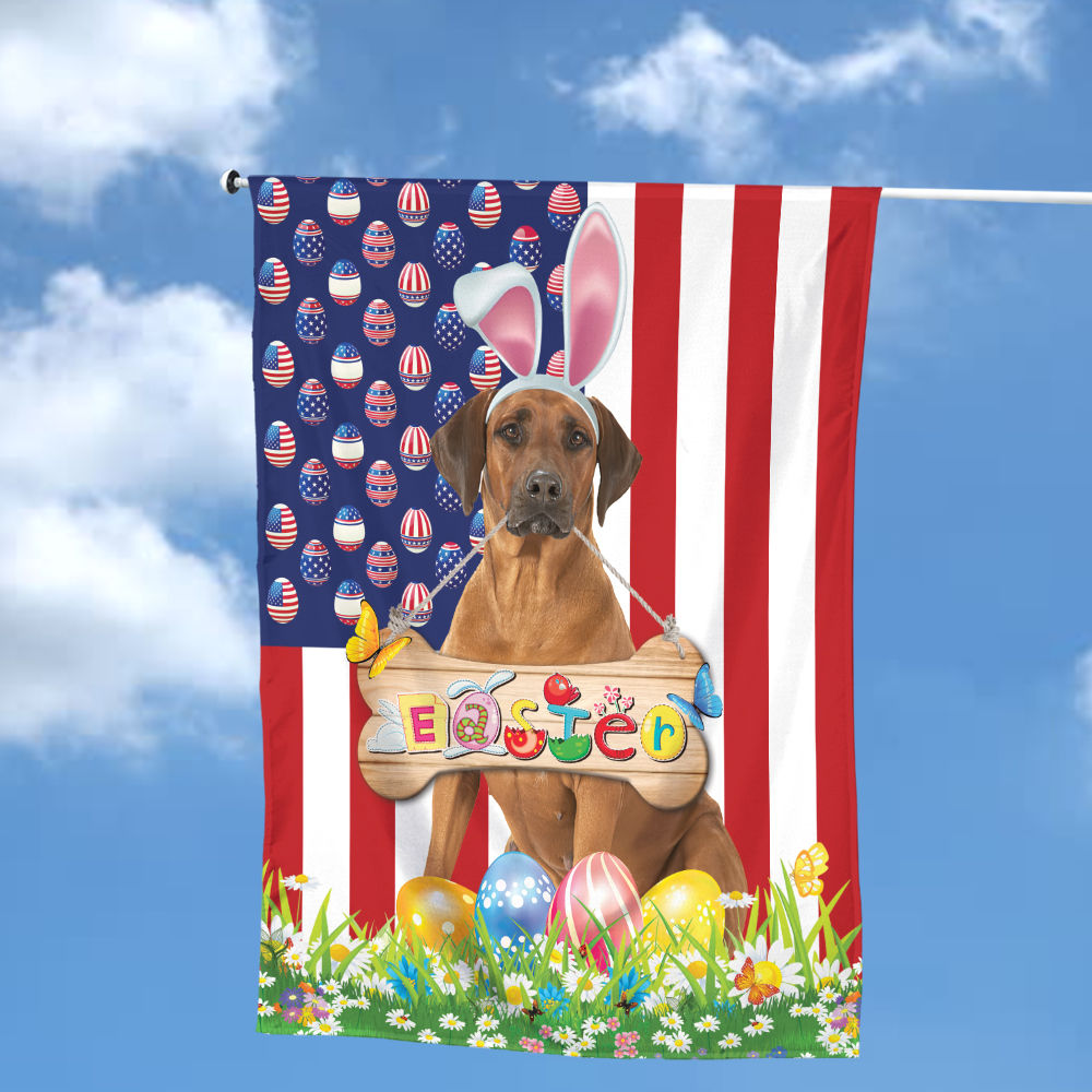 Adopt A Rhodesian Ridgeback Cross Rescue Dog | Ronnie | Dogs Trust