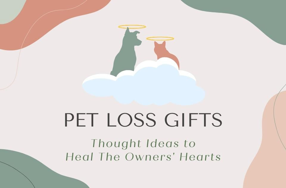 20 Thoughtful Pet Loss Gifts to Heal The Owners' Hearts