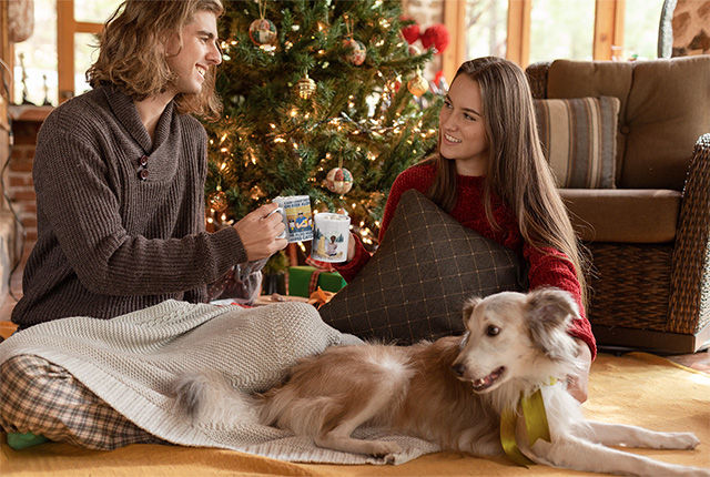 Gifts for New Puppy Owners: Christmas Gift Ideas All Dog Lovers