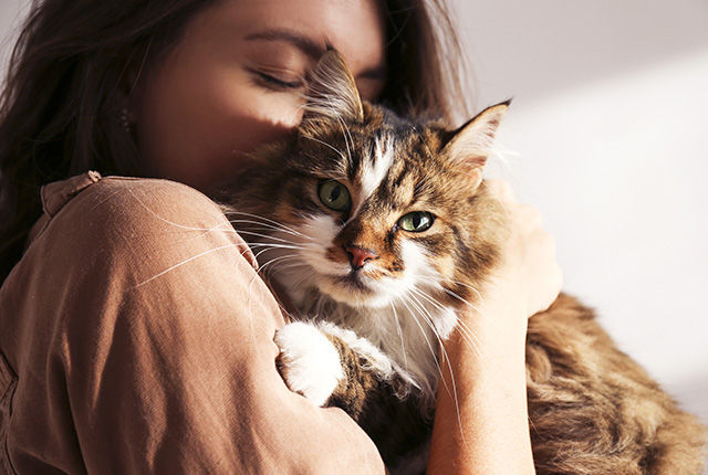 60 Cat Quotes to Express Love to Both Pet Owners and Fur Babies