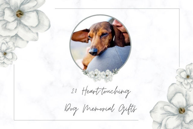 20+ Heart-touching Dog Memorial Gifts to Lift the Owners' Spirit