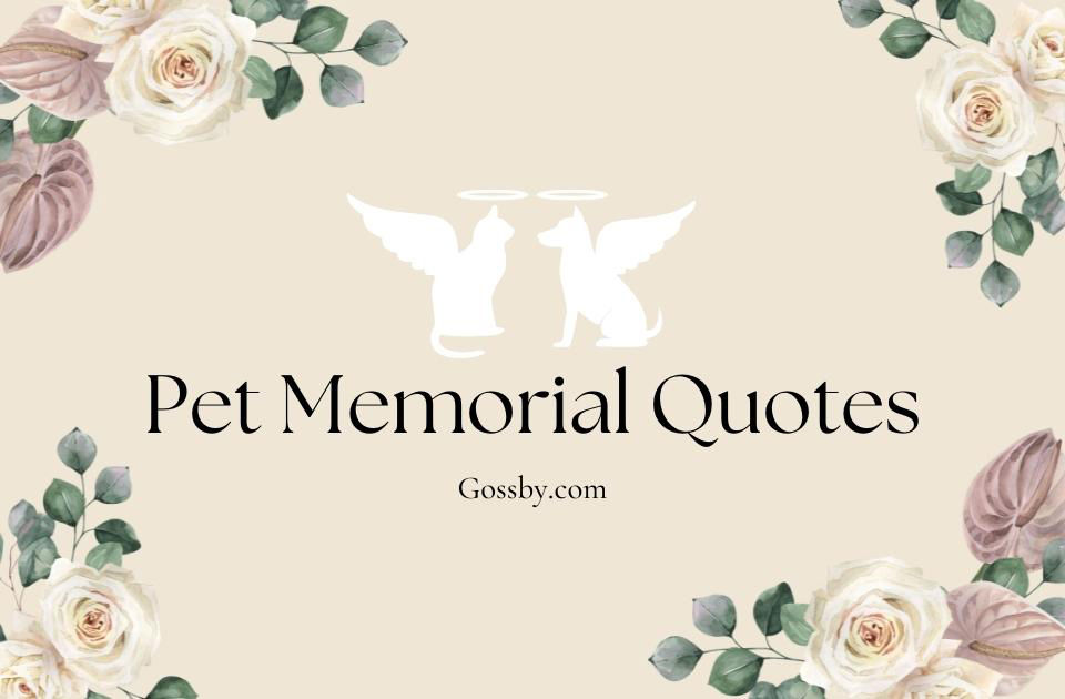 40 Sentimental Pet Memorial Quotes & Sayings that Erase the Pain